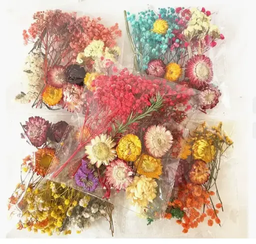 Dried flowers